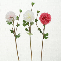 Blume Helge sort., H71cm pink