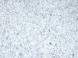 Marmorsplitt Carrara 9-12 mm 25 kg Sack