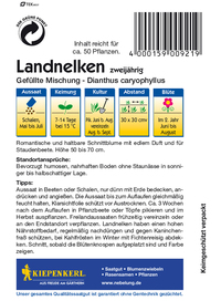 Dianthus Landnelken Preisgruppe C