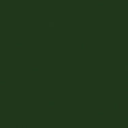 Wachsplatten laubgrün 200 x 1 00 x 0,5 mm 2 Stk.
