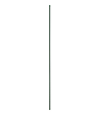 Pflanzstab Classic Ø 16mm, L=210cm, grün, Stahl