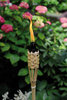Bambusfackel 120cm Farbe: natur