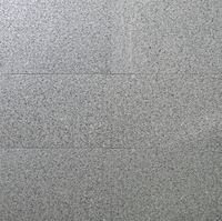Granitplatte hellgrau, 40x40x3 cm gesägt geflammt