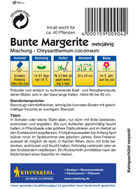 Chrysanthemum Bunte Mix Preisgruppe B