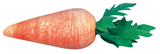 Karotte aus Watte,18 mm,SB-Btl . 10 St.