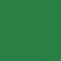 Wachsplatten hellgrün 200 x 1 00 x 0,5 mm 2 Stk.