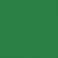 Wachsplatten hellgrün 200 x 1 00 x 0,5 mm 2 Stk.