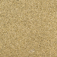Pigmentstempelkissen VersaColo r mini gold 2,5 x 2,5 cm