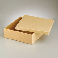 Box für Servietten 22 x 22 x 8 cm