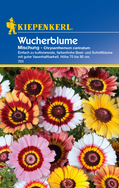 Chrysanthemum Mischung Preisgruppe B