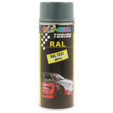 Spray Paint RAL 7031 gl. Autolack 400 ml