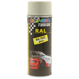 Spray Paint RAL 7032 gl. Autolack 400 ml