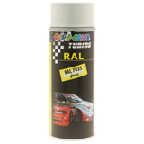 Spray Paint RAL 7035 gl. Autolack 400 ml